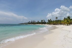 idyllic beach in dominican republic