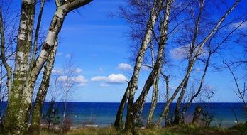 Landscape of blue sea