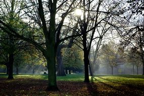 Kensington gardens in London