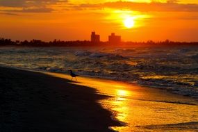 Sun Sunset Sea Sky Horizon