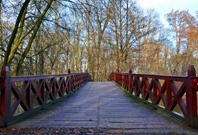 wooden footbridge among autumn park