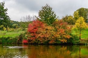 colorful autumn at the pond