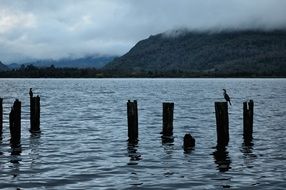 incredibly handsome Futrono Lake