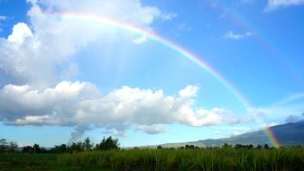 summer multi-colored rainbow over a green field