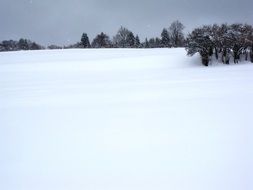 field in the snow next to the trees