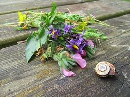 colourful wild Flowers Bouquet