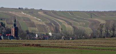 landscape fields in the village