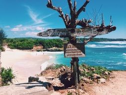 sign on a dry tree near the Indonesian Sea