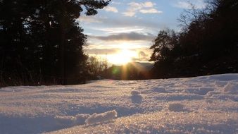 white snow in sun flare in the forest