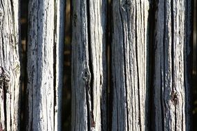 wooden poles fence