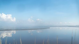 Salt Marsh in the Netherlands