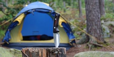 Camp in the forest in Sweden