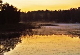 Sunrise on the lake near the forest