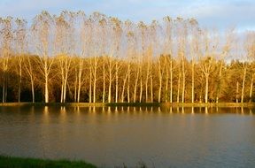 golden sunrise over a picturesque pond