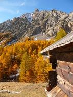 chalet in queyras nature reserve