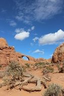 Landscape of desert in Southwest America