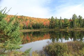Autumn Landscape of country side