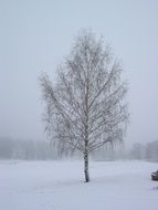 Frozen weather in Sweden