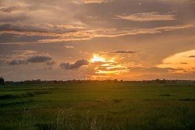 cloudy sky over a summer green meadow at sunset