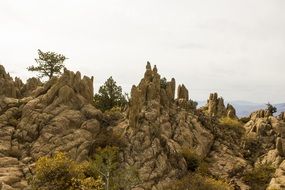 trees among the rocks of a mountain landscape