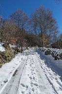 snow path in nevada