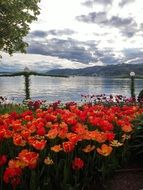 park with colorful flowers near the lake