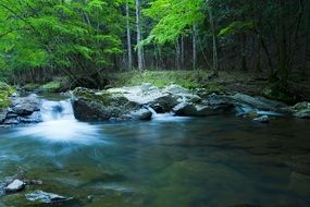 clean stream of river in a forest in japan