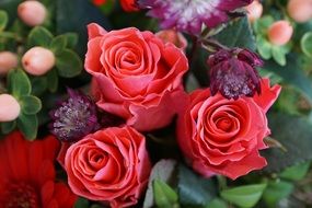 Close-up of the bouquet of different roses