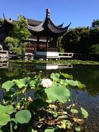 Temple Zen Basin