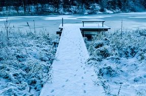 jetty in the winter forest