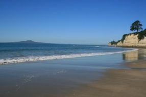 beach near browns bai suburb in new zealand