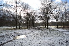 winter landscape in a desert park