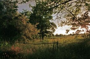 Quiet Place Landscape