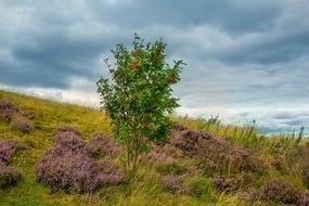 sky with storm clouds over Holyrood Park in Edinburgh