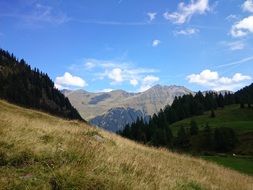 green mountain meadow under blue sky