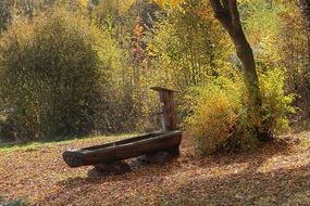 rustic wooden Fountain in Colorful Autumn Forest