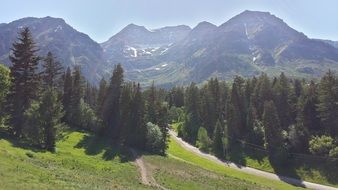 green meadow in the mountains in utah on a sunny day