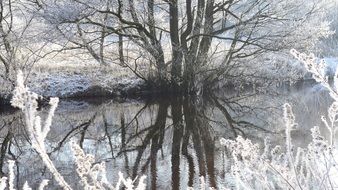 picturesque winter on the river