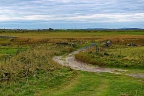 dirt road among farmland