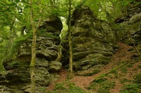 Rocks in the forest, echternach, luxembourg