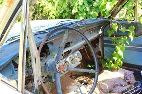 Rusted abandoned aged car