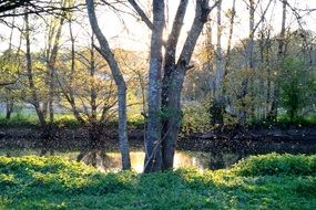 stunningly beautiful River Bank