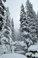 snow-covered landscape in the Alps valley