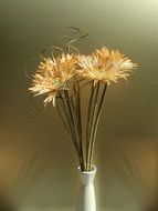 elegant flowers in vase