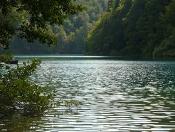 Plitvice Lake in forest at summer, croatia