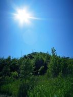 Beautiful mountain with green trees in sunlight in summer