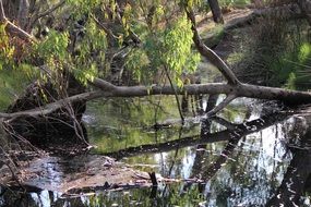 pristine nature in western australia