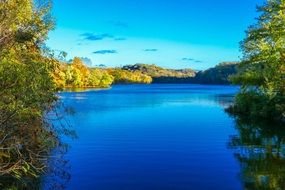 blue water in the lake behind green trees