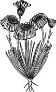 black and white graphic representation of a bush of wildflowers