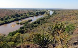 Africa river Wild Nature Safari view